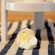 hard-boiled egg yolk on towel beneath the Eggstractor